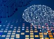 a computer circuit board with a brain on it